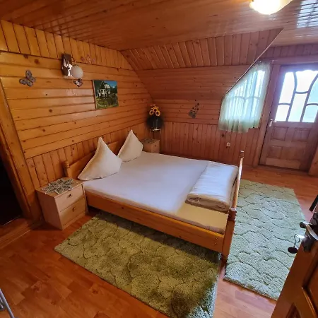Pensiunea Paradis Guest house Borobanesti