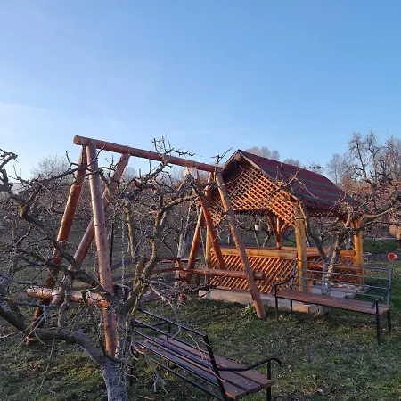 Pensiunea Paradis Guest house