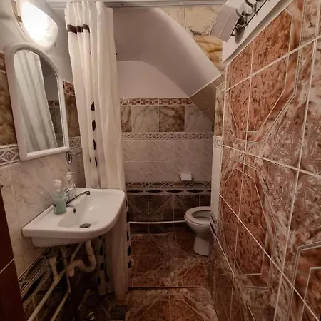 Guest house Pensiunea Paradis Borobanesti