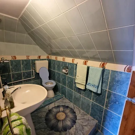 Pensiunea Paradis Guest house Borobanesti