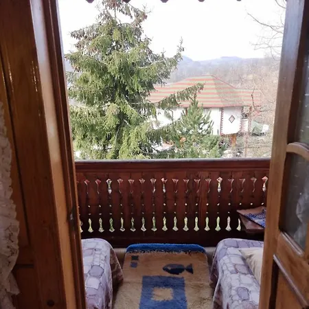 Guest house Pensiunea Paradis *