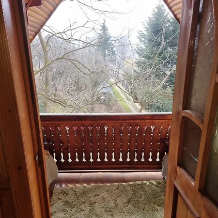 Pensiunea Paradis Guest house Borobanesti