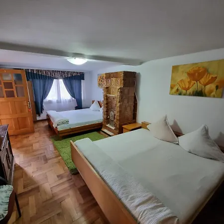 Pensiunea Paradis Guest house *