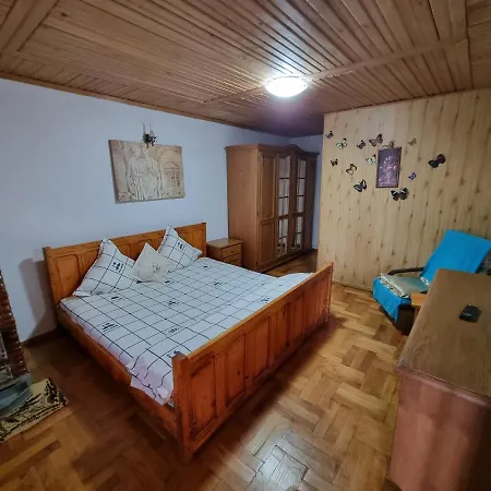 Pensiunea Paradis Guest house Borobanesti