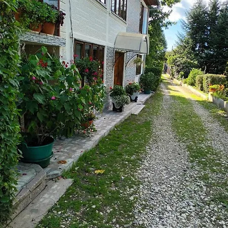 Guest house Pensiunea Paradis Borobanesti