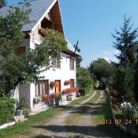 Guest house Pensiunea Paradis Borobanesti