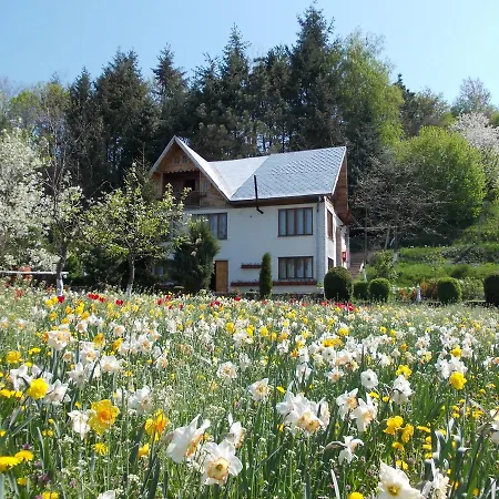 Pensiunea Paradis Guest house *