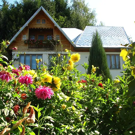 Pensiunea Paradis Guest house Borobanesti