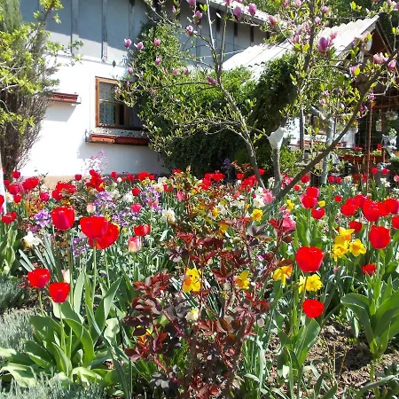 Pensiunea Paradis