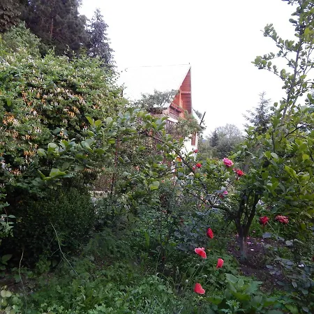 Guest house Pensiunea Paradis