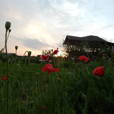 Pensiunea Paradis Borobanesti